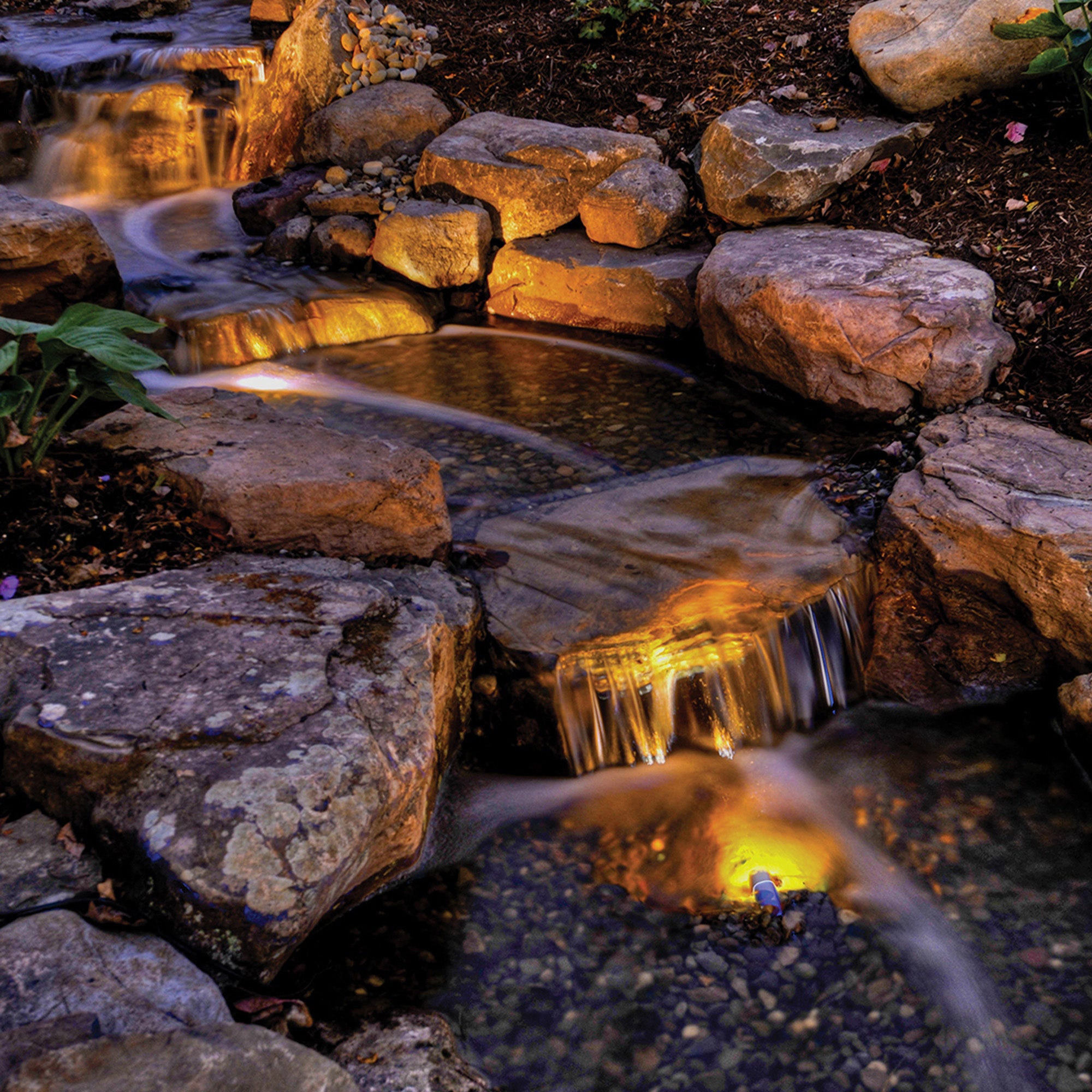Atlantic - 1 Watt Warm White LED Pond Light - Fastfreshmarket