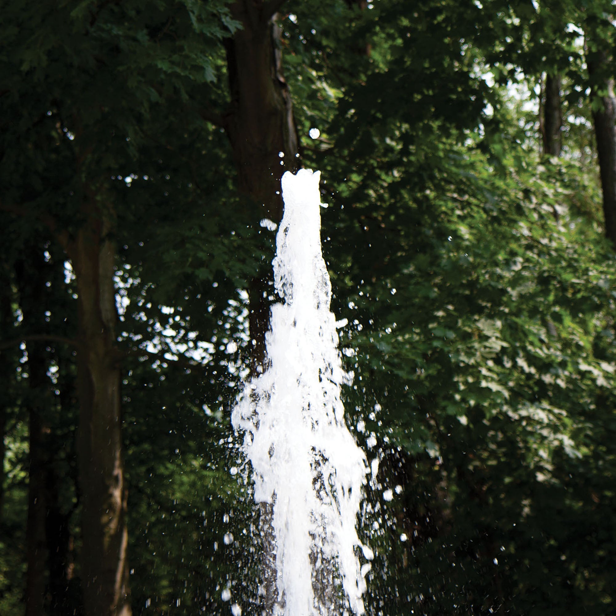 Atlantic Cascade Column Nozzle - Fastfreshmarket