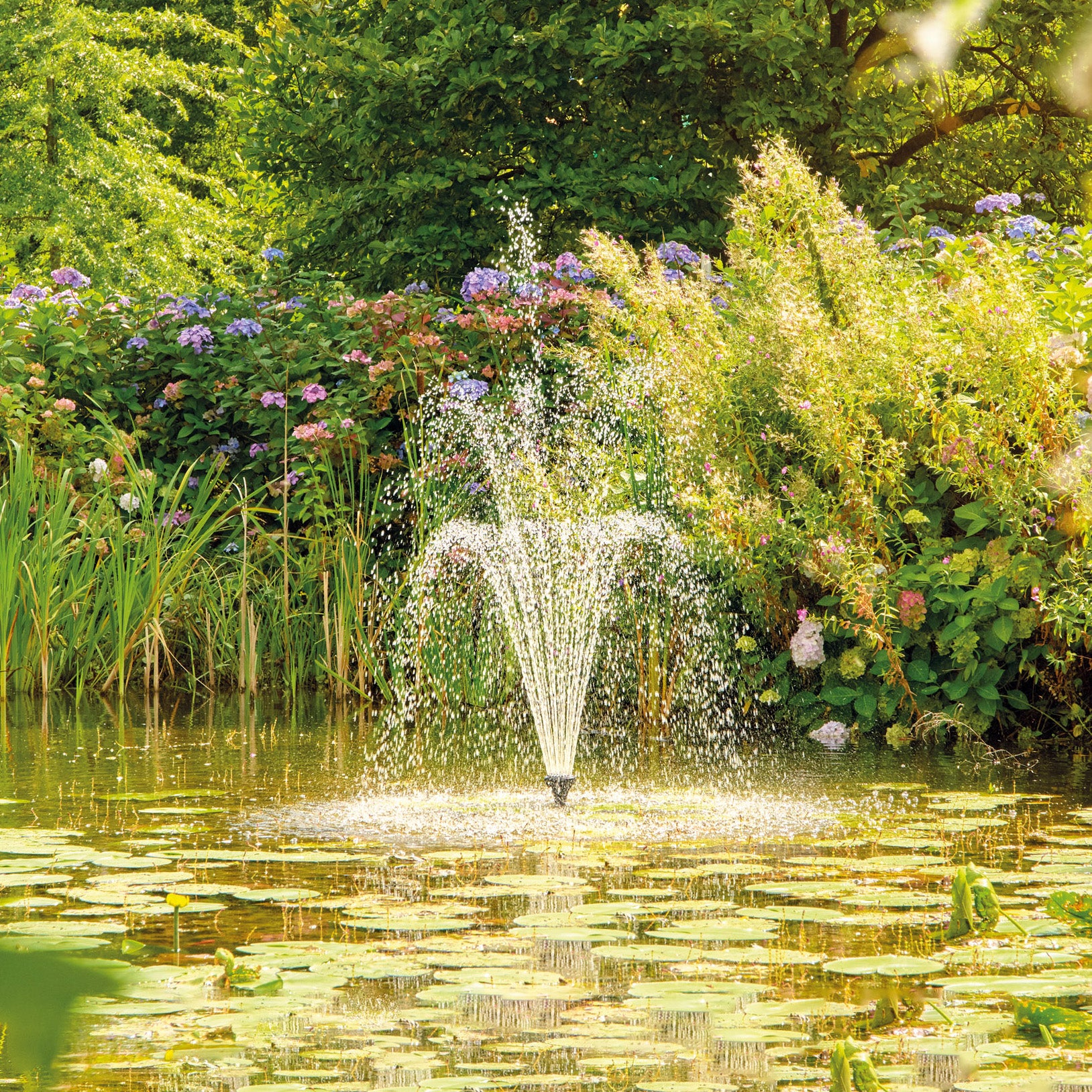 Oase Aquarius Eco Premium 1700 - Fastfreshmarket