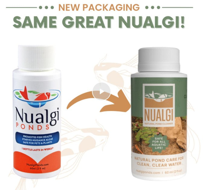 Nualgi Ponds 500ml Bottle - Fastfreshmarket