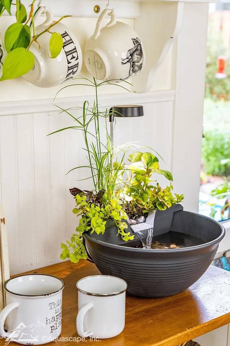 Aquascape AquaGarden Tabletop Fountain Kit in Gray - Kitchen Decor