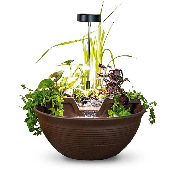 Aquascape AquaGarden Tabletop Fountain Kit in Mocha - With Plants