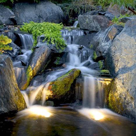 Aquascape 1-Watt LED Pond & Landscape Spotlight - 6 Pack - Fastfreshmarket