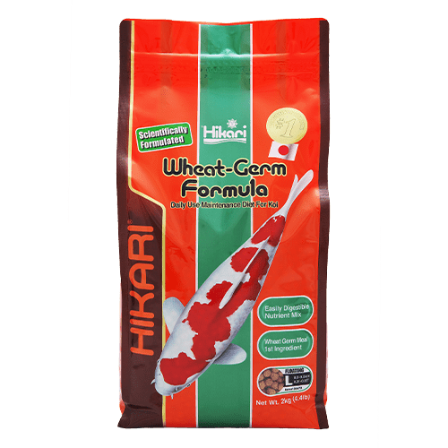 HIKARI WHEAT GERM - Large 4.4lb (2Kg) - Fastfreshmarket