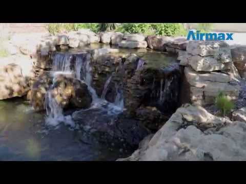 CrystalClear Clarity Max - 1 lb - Fastfreshmarket