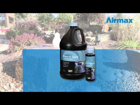 Crystal Clear Foam-B-Gone - 1 Gallon - Fastfreshmarket