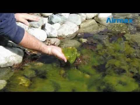 CrystalClear D-Solv - 25 lbs. - Fastfreshmarket