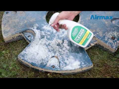 Airmax D-Scale Fountain, Aeration, Pump, and Boat Cleaner - 1 Gallon